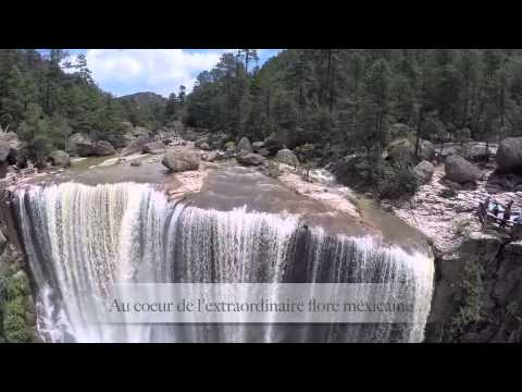 MEXIQUE - La Sierra Madre &agrave; cheval!