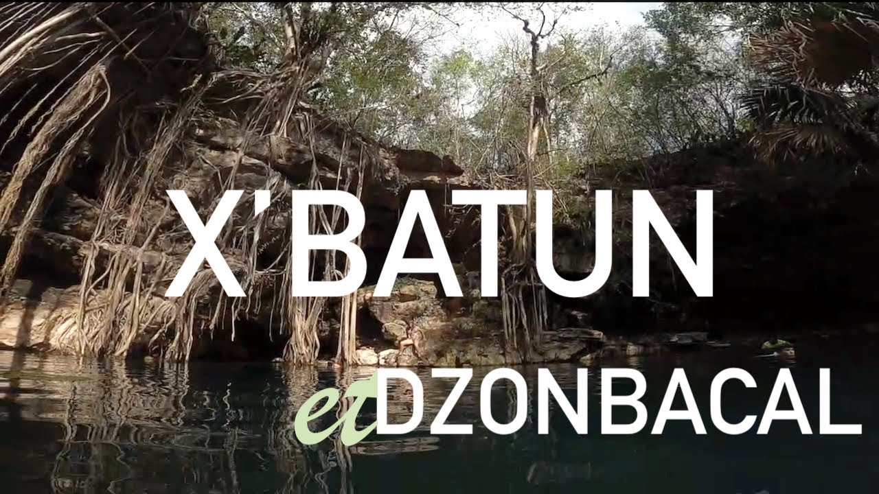 🤿 D&eacute;couverte des cenotes X