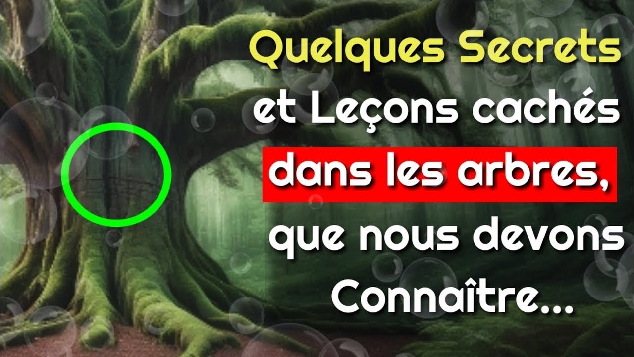 Arbres Majestueux: Tu Dois Conna&icirc;tre Ces Secrets T&ocirc;t