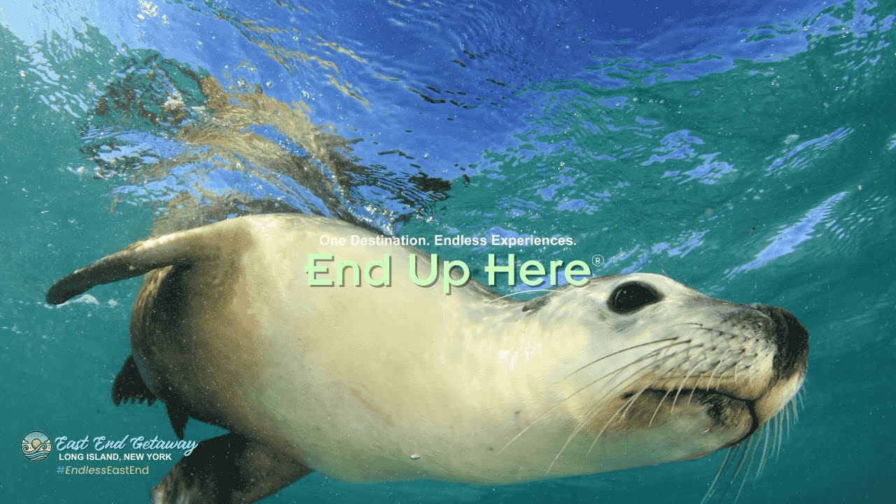 Long Island, New York