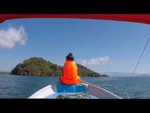 |PANAMA - GOLF DE CHIRIQUI | &icirc;les d&eacute;sertes, singes et dauphins