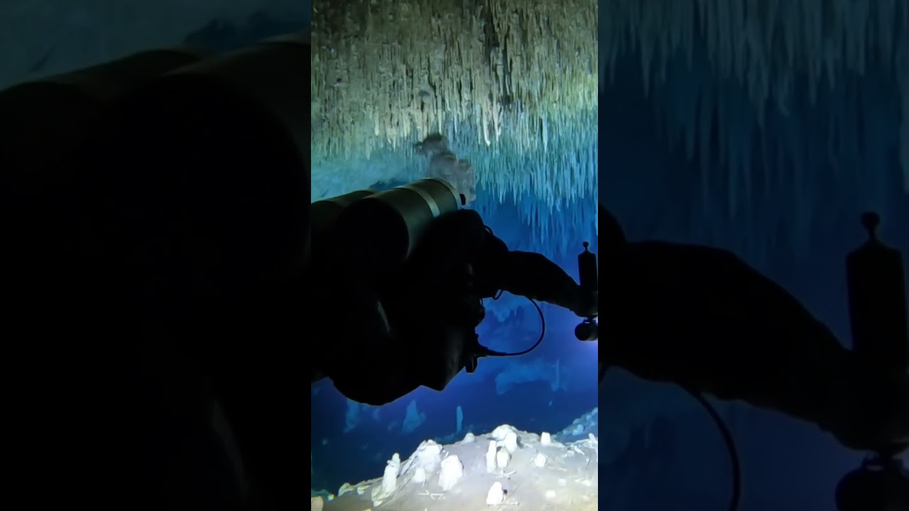 Admirer les stalactites en plong&eacute;e en Cenotes - Mexique en janvier #plongeesousmarine #cavediving