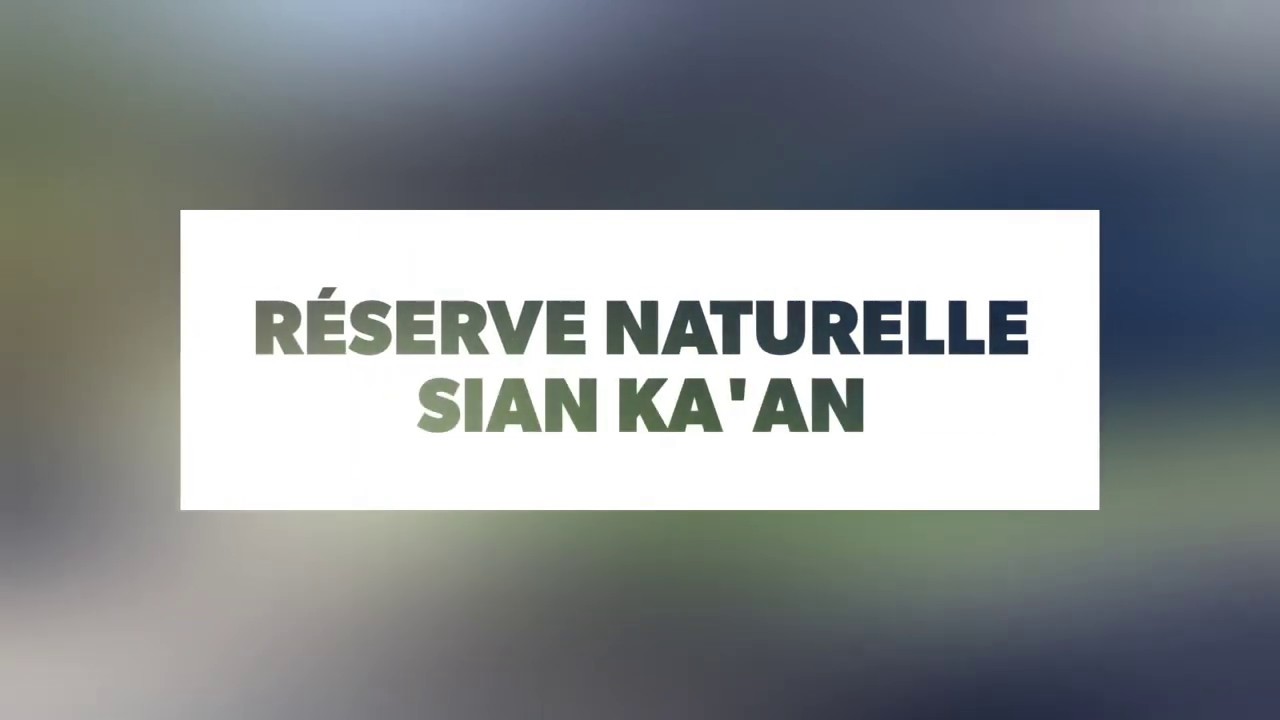 Excursion Mexique réserve naturelle de Sian Ka'an