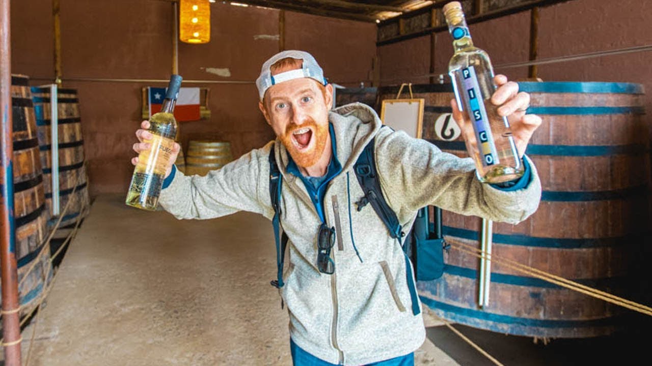 PURE PISCO: HEAVEN IN THE ELQUI VALLEY