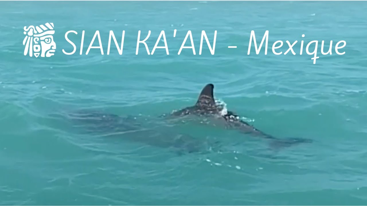 À Sian Ka'an, Mexique découverte se jette à l'eau pour vous !
