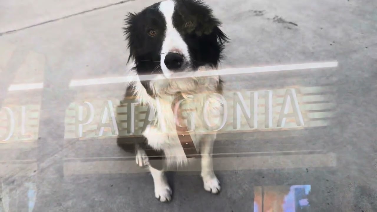 Argentina 🇦🇷 ~ Patagonia ~ Perito Moreno ~ Fitz Roy ~ October 2025