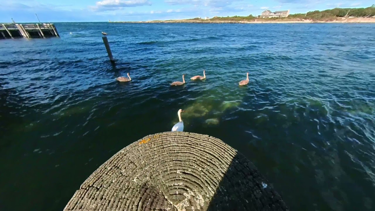 New York travel vlog/Longisland/Gosmans Montauk (SEP 29,WED)