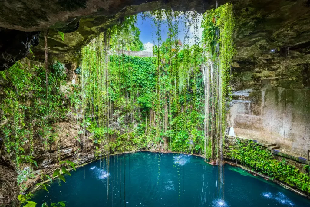 Cénotes du Yucatán