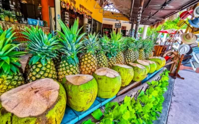 Fruits du Mexique : un voyage coloré au fil des marchés