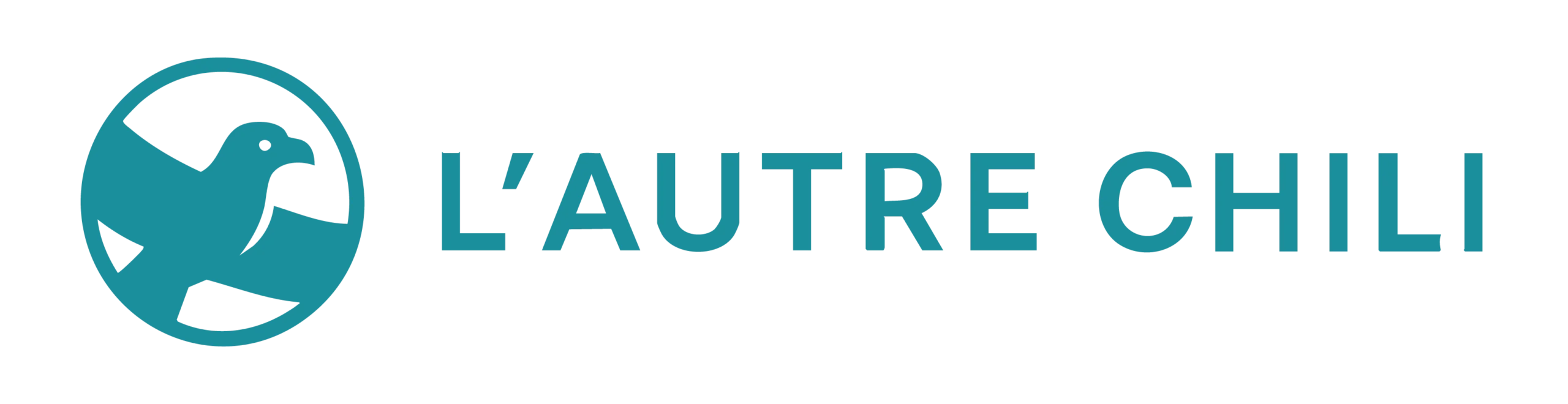 lautre-chili.fr