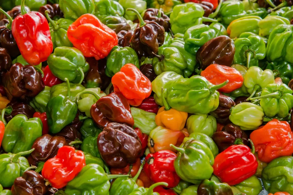 Plusieurs piments antillais