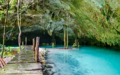 Découvrez les merveilles des cenotes au Mexique