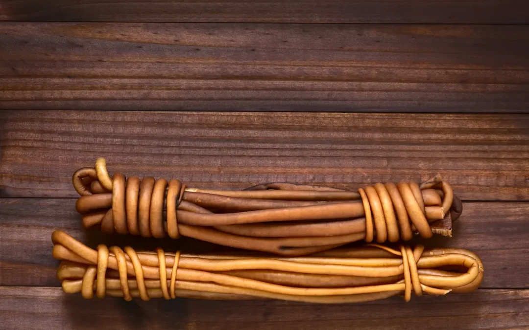 Cochayuyo : l’algue sauvage qui relie les peuples du Chili à la mer