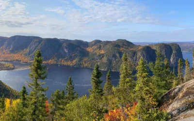 Fjord du Saguenay : un écrin sauvage pour ralentir et se reconnecter